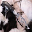 Messer Arabian Horse Augusto Curreli Ebenholz Grif
