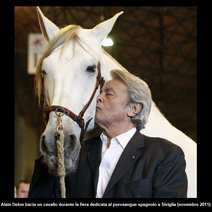 Knife  Horse Augusto Curreli